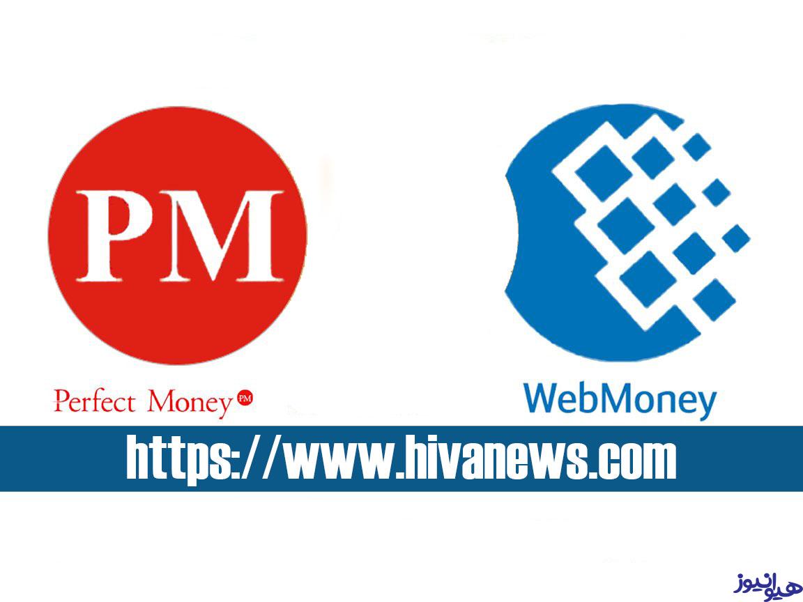 بررسی مهمترین تفاوت وب مانی و پرفکت مانی