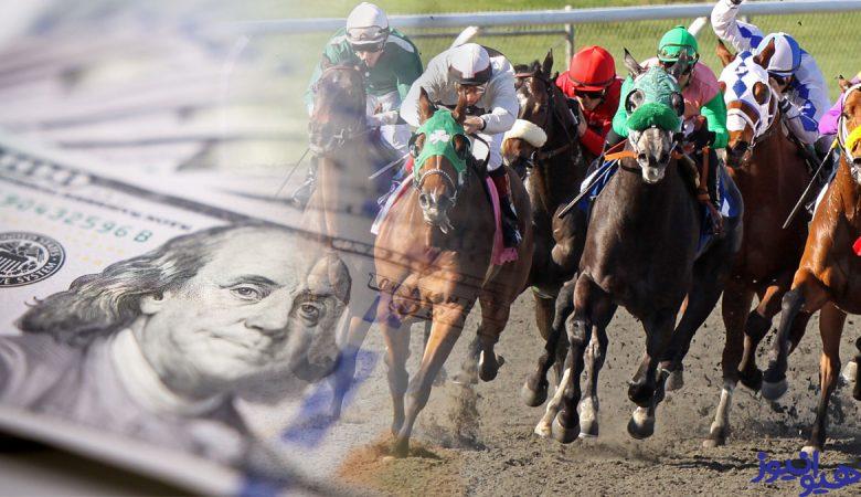 شرط بندی اسب دوانی