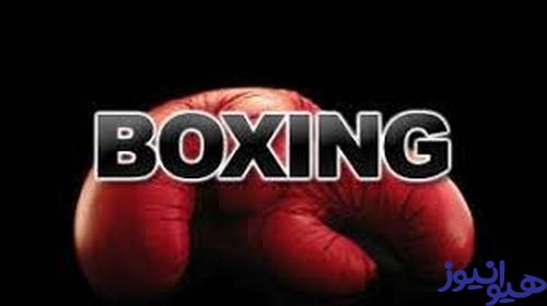 سایت شرط بندی بوکس