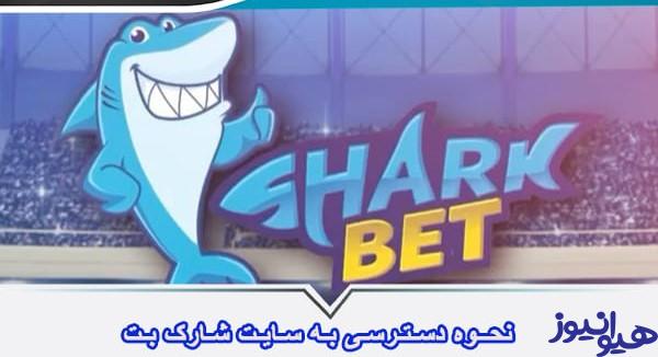 شارک بت
