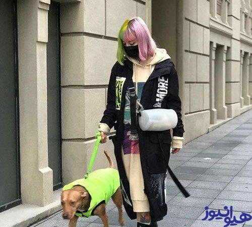 توگسه اکسوز