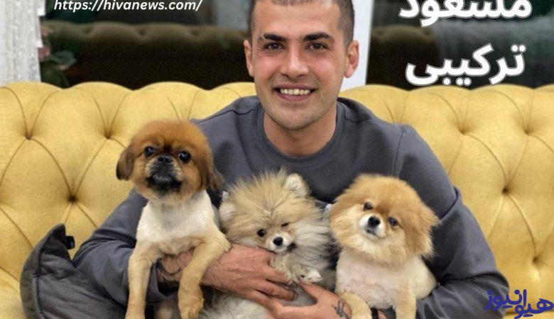مسعود ترکیبی