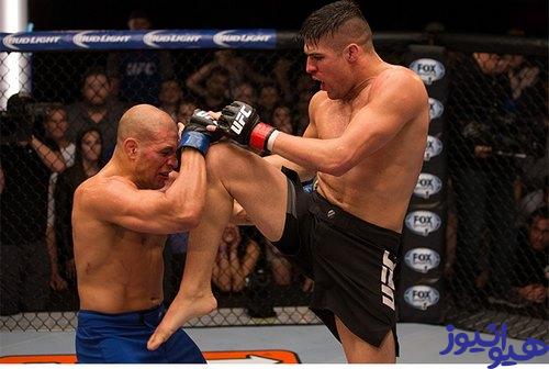 ویسنته لوکه