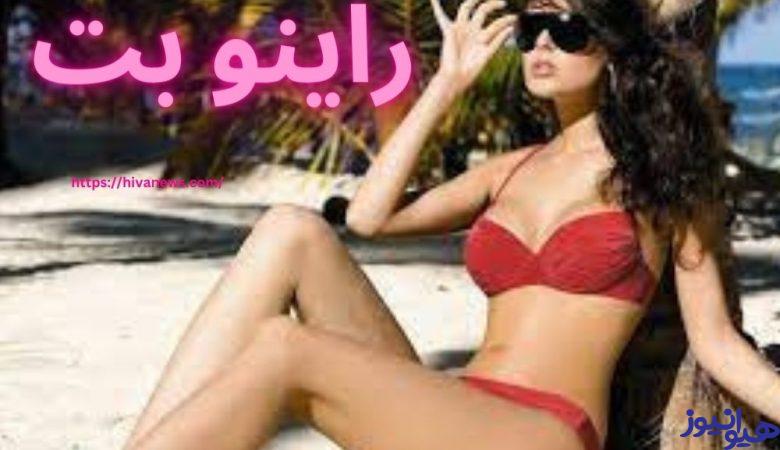 راینو بت