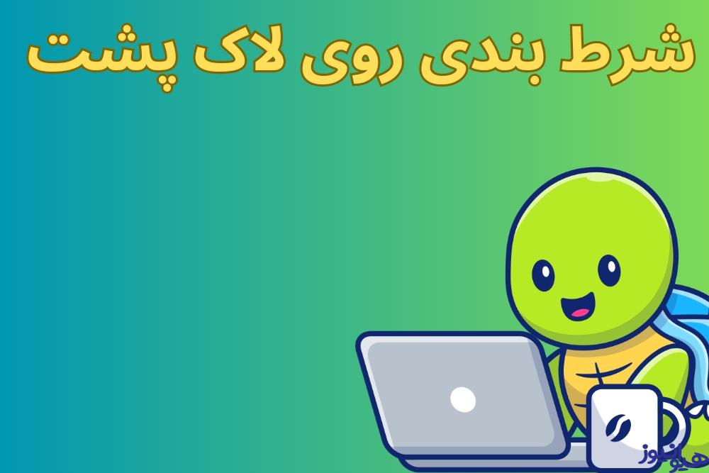 شرط بندی بر روی لاک پشت