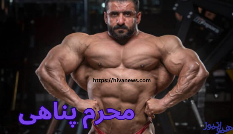 محرم پناهی