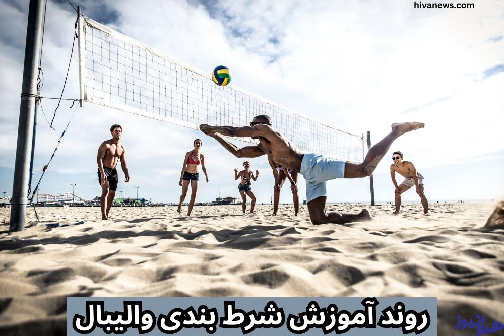 روند آموزش شرط بندی والیبال